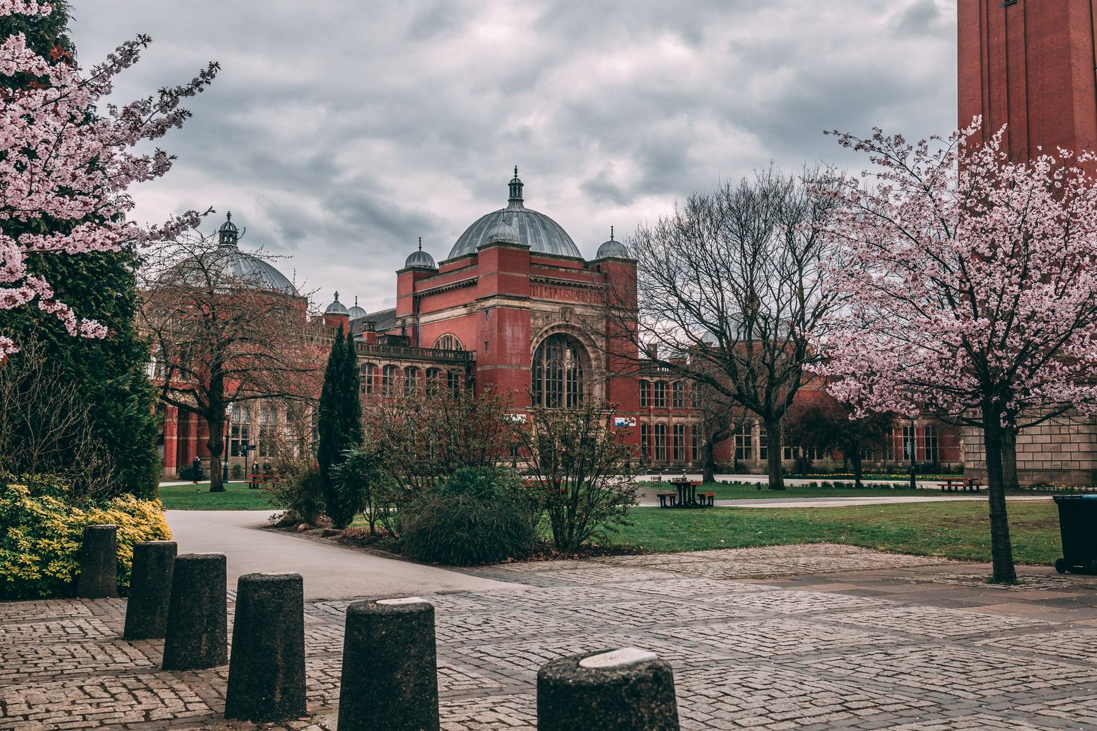Top 50 Anh 11 University of Birmingham Princeton English
