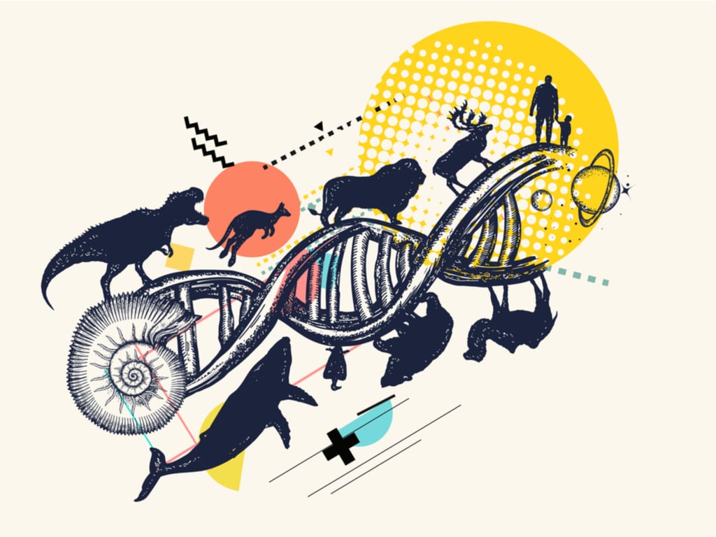 Biological & Cultural Evolutionary Analysis of COVID - HxA