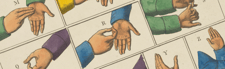ASL webcrop
