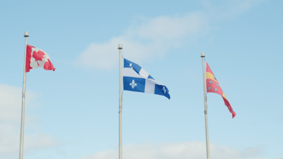 Main 00 00 07 11 Still006