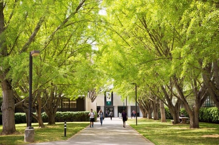 Csu sac