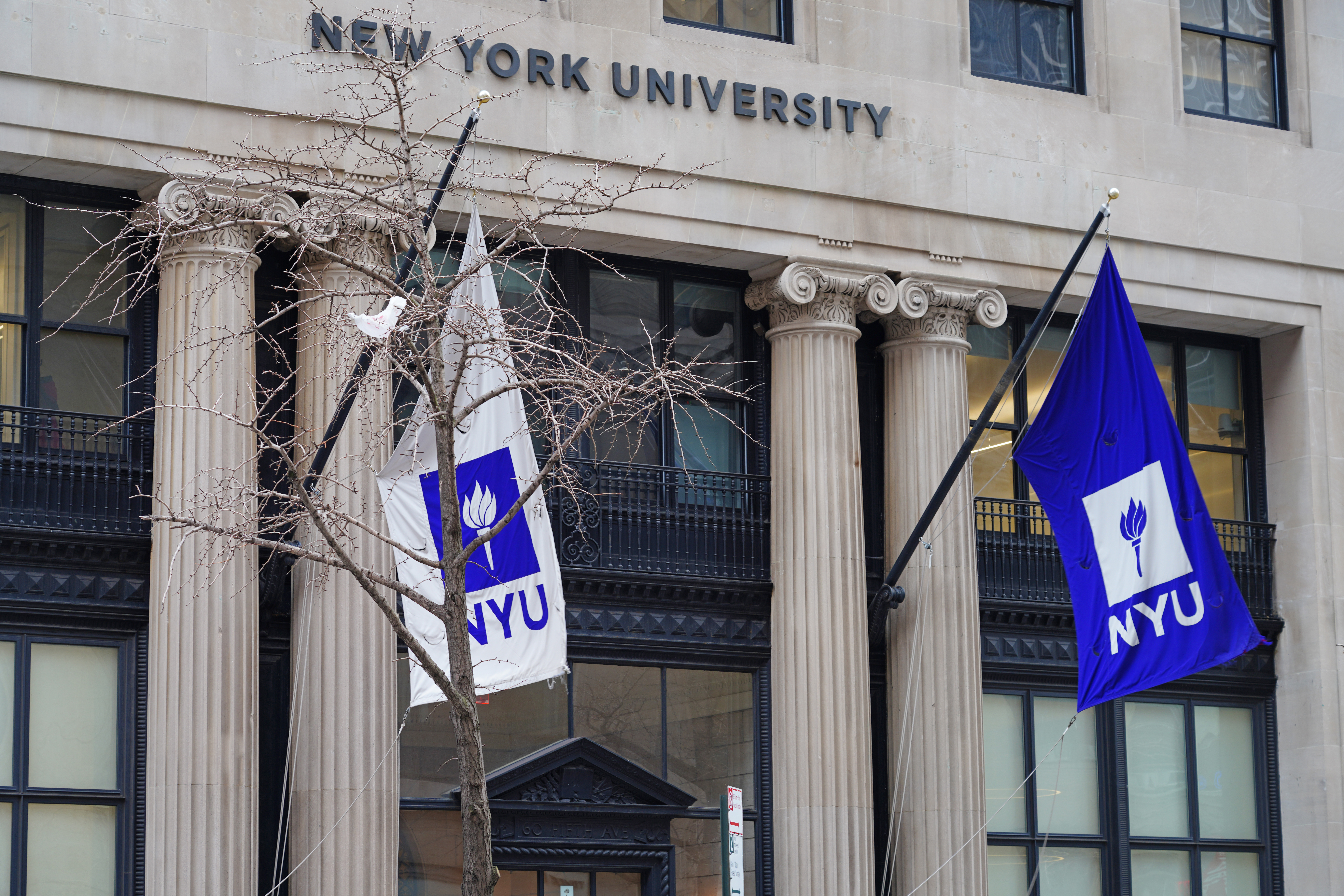 New York University