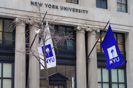 New York University